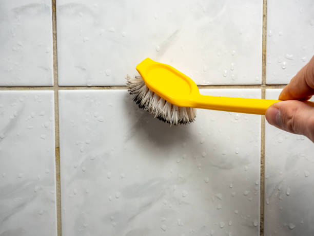 Office Mold Removal Services in Wakefield, KS