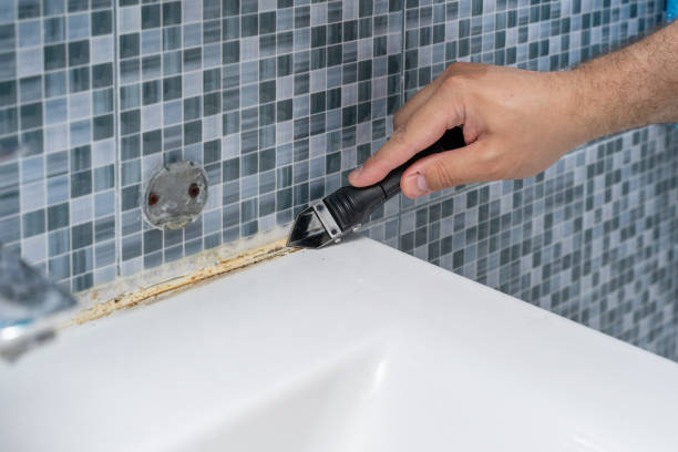 Best Mold Damage Repair  in Wakefield, KS