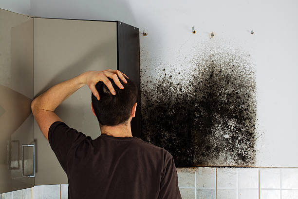 Water Damage Restoration in Wakefield, KS